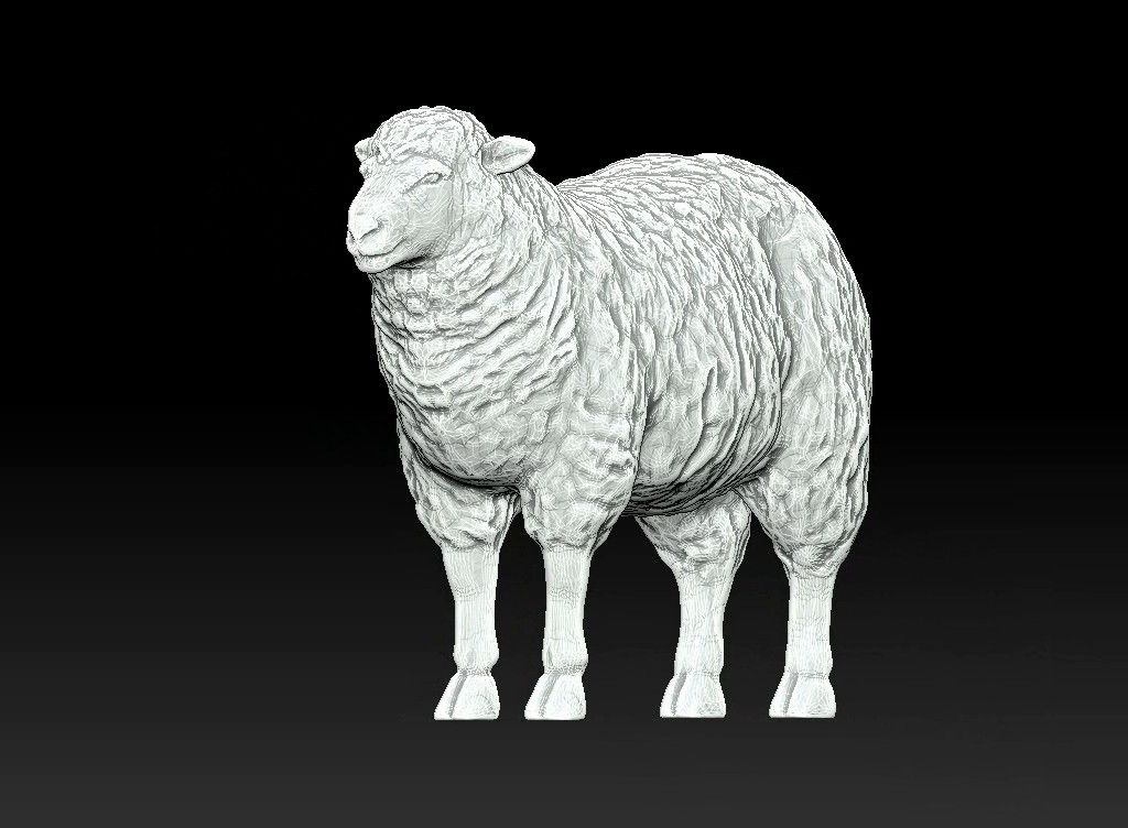 sheep 3D print model - CGHero